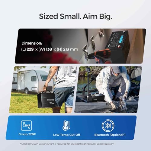Image of Renogy 12V 24V 48V 200Ah Deep Cycle Lithium Iron Phosphate Battery up to 5000+ Deep Cycles BMS Protection, Perfect for Trolling Motor,Off-Road,Cabin,Marine,Off-Grid Home Energy Storage