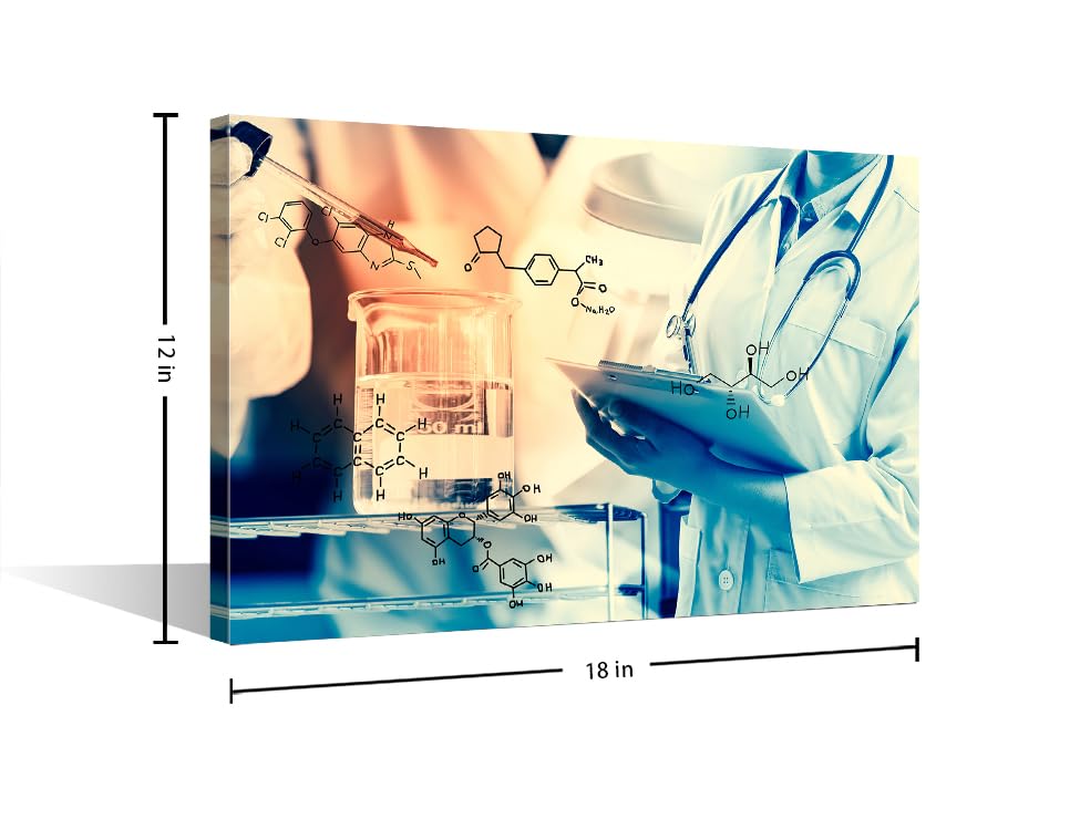Image of 1 Panel Medical Wall Decor Poster Laboratory Wall Decor for Bedroom Chemical Equations Laboratory Research Concept Giclee Wooden Framed Gallery-Wrapped Ready to Hang (12 inch Wx18 H)