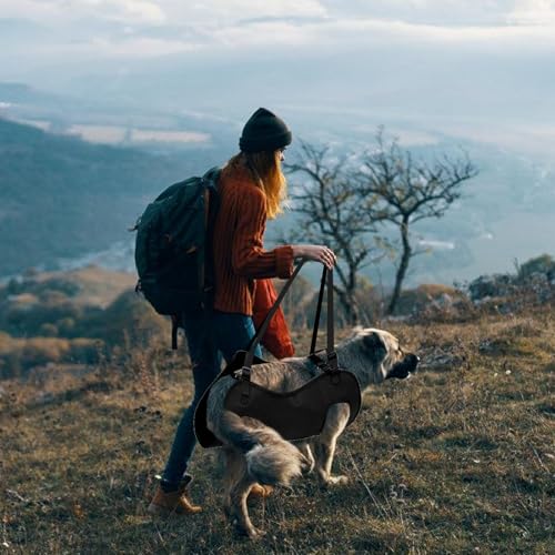 Hunde Tragehilfe, Tragbares Hundegeschirr, Verstellbare Hundehebegeschirr, Hundestützschlaufe, Hundetragegurt, Ganzkörperhebehilfe für Mittlere und Große Kranke Oder ältere Hunde (L)