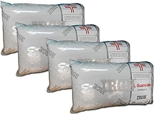 Irge Set di 4 Guanciali Anallergici