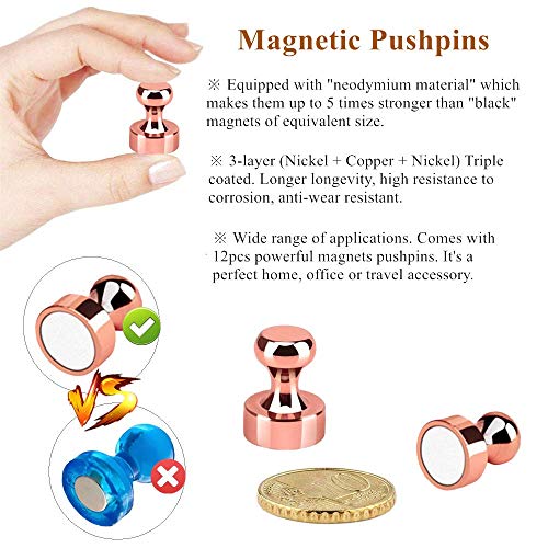 Refrigerator Magnet Push Pin - Rakizbe Brushed Nickel Steel Fridge Magents, Magnetic Pushpins, Magnet Thumb Tacks, Magnets For Whiteboard, Kitchen, Office, Bulletin Board, Lockers (Rose Gold) #TOP1