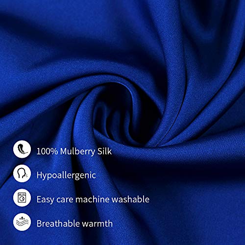 Jocoku 100% Mulberry Silk Pillowcases Set Of 2 For Hair And Skin And Super Soft And Breathable Queen Size Nature Silk Pillowcases (Queen, Royal Blue) #TOP2