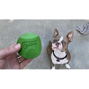 Chuckit Fetch Medley Dog Ball Dog Toys, Medium (2.5 Inch) Pack of 3, for Medium Breeds, Includes Erratic, Strato and Ultra Squeaker Balls Chuckit Fetch Medley Dog Ball Dog Toys, Medium (2.5 Inch) Pack of 3, for Medium Breeds, Includes Erratic, Strato and Ultra Squeaker Balls