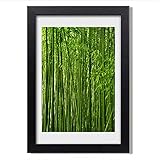 🎨 La technologie d'impression moderne garantit une reproduction parfaite des détails et des couleurs vives qui ne se fanent pas avec le temps.