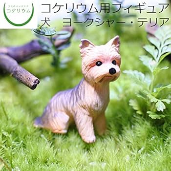 516IQA0OWnL._AC_UF350,