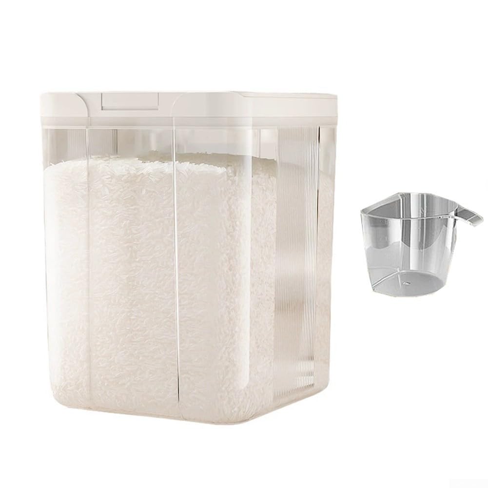 Contenedor de detergente de plástico PET para ropa (5,5 l) a prueba de