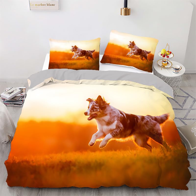 Funda nórdica corgi 220x240 cama 150 con fundas de almohada microfibra naranja 110g