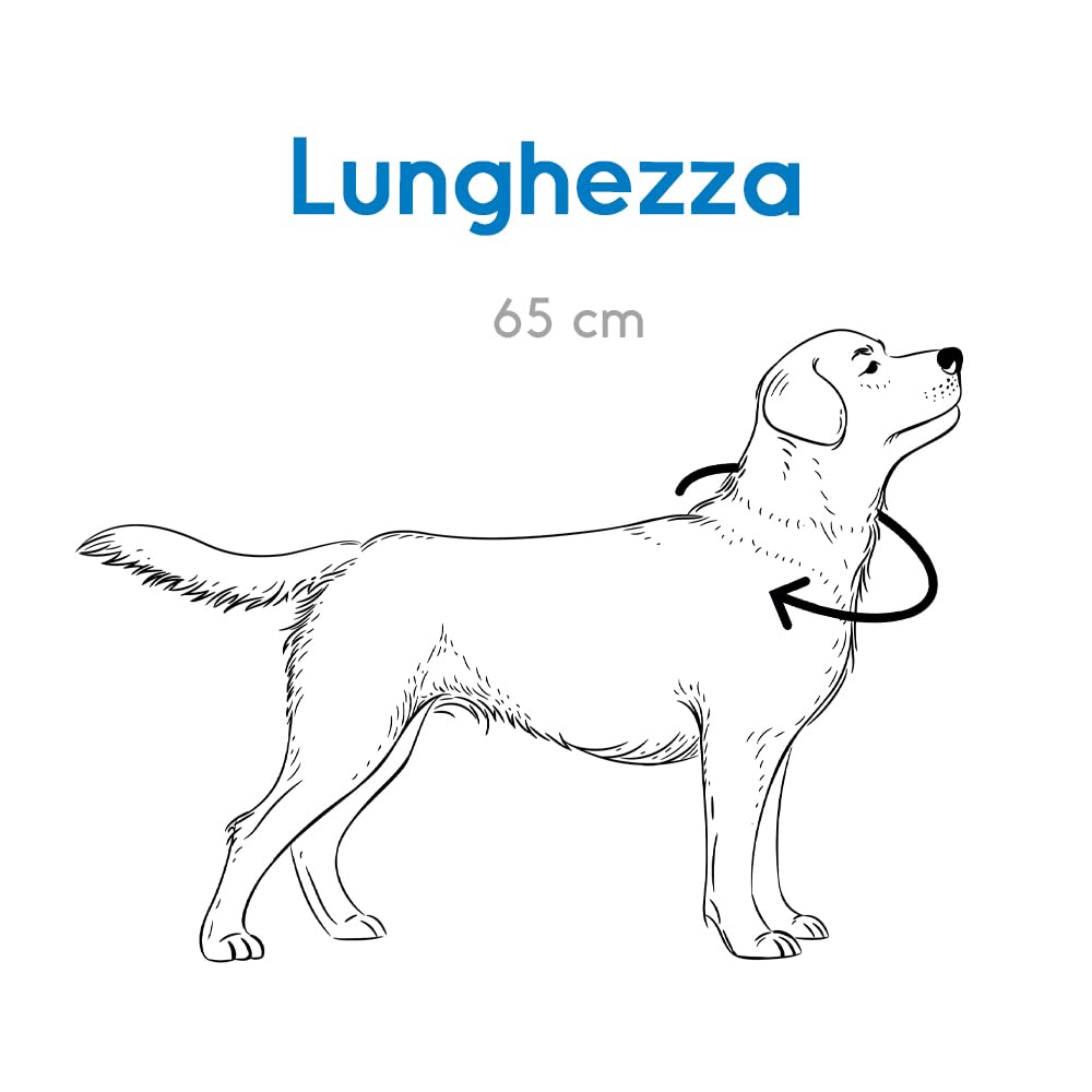 Record, Dog Collar with Choke Chain, Long Shape Mesh, Material Chrome Steel, Length 75 cm, Ideal for Large Dogs - Image 2