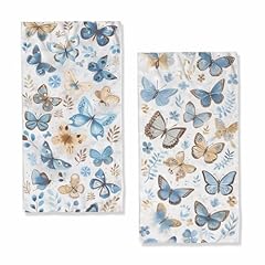 Colorful Butterfly_25