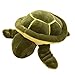 Outflower Tortue mignon Tortue Verte Taie d'oreiller Trier en peluche en peluche Coussin Oreiller de voyage, Coton, S 23CM, Small