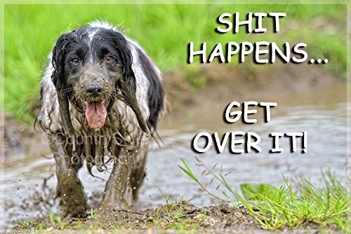 Sprocker Springer Spaniel Dog Funny Fridge Magnet - Perfect Birthday or Christmas Gift