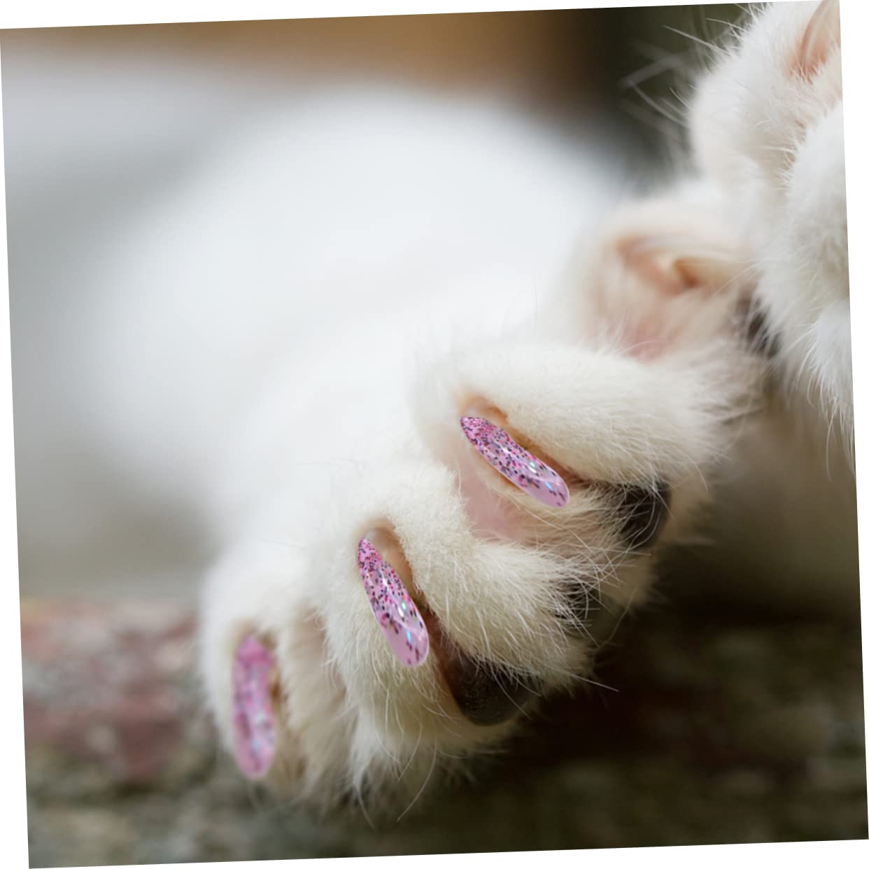 Sosoport 300 Pcs Ensemble D'Ongles pour Animaux De Compagnie Capuchons De Griffe De Chaton Couvre-Griffes De Chaton Couvre-Ongles De Chat Conseils D'Ongles De Chat Accessoires De