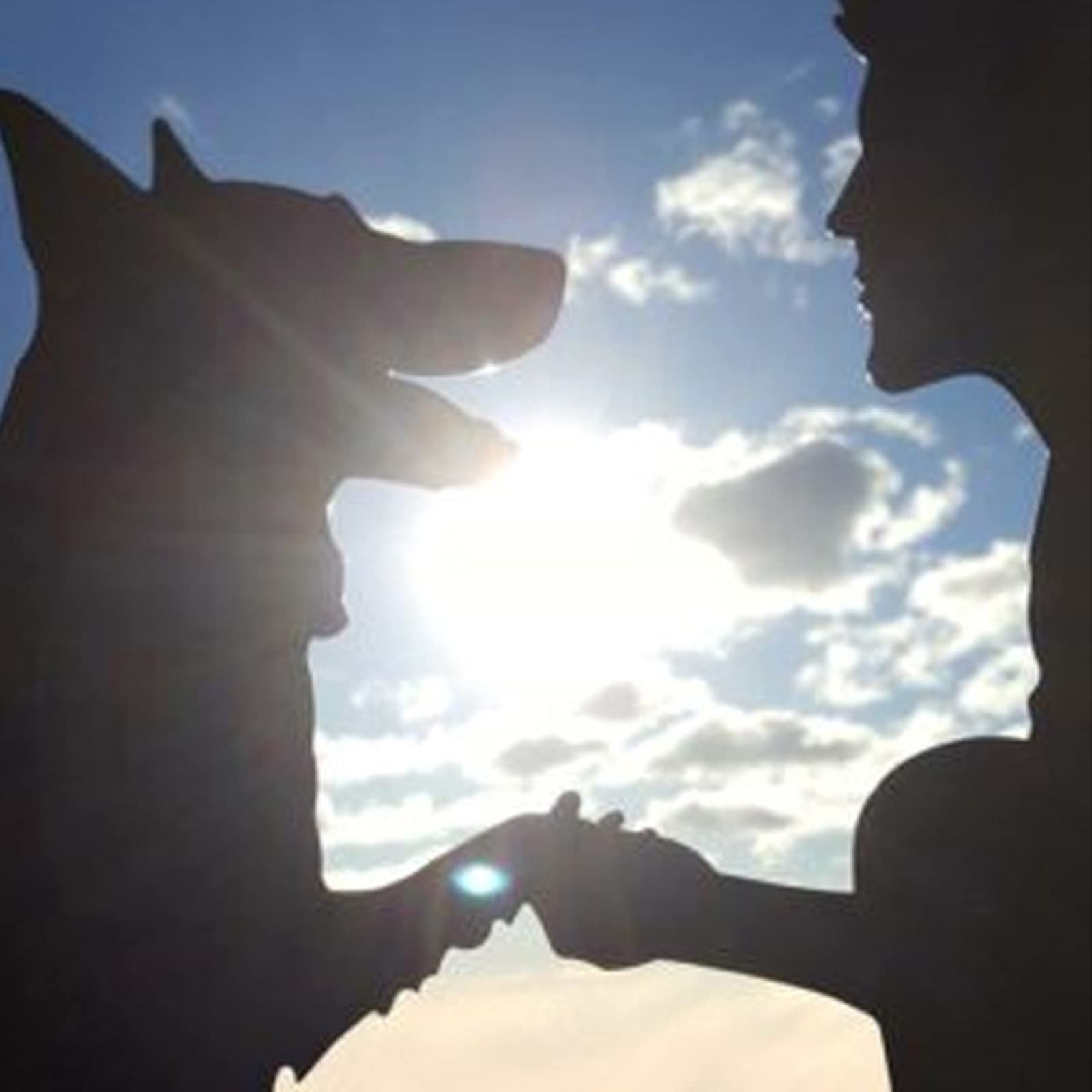 windvaan windwijzer labrador retriever silhouet roestvrij staal dier hond windwijzer weerhaan richtingaanwijzer tuinpaal kunst decor voor patio tuinornament