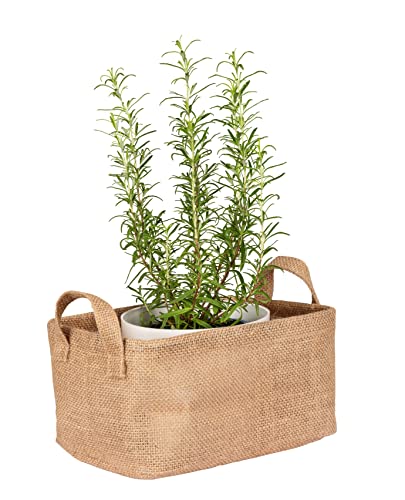 WENKO Aufbewahrungskorb Juna M, dekorativer Korb zur übersichtlichen Aufbewahrung von Accessoires wie z. B. Kleidung mit zwei praktischen Griffen, Außenmaterial 100% Jute, 24 x 17 x 17 cm, Braun