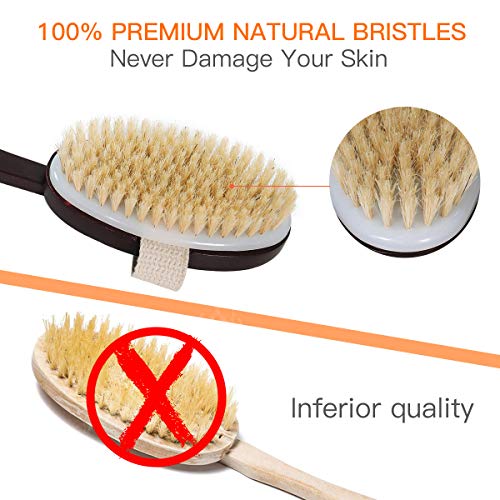 image for Anglink Dry Skin Body Brush - 2 Pcs Detachable Natural Bristle Bath Br