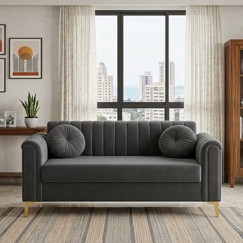 Image of FURNY Dorino 2 Seater Fabric Sofa Set (Dark Grey) Premium Velvet Finish Durable & Comfortable Ideal for Living Room