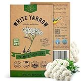 White Yarrow Seeds Pack 0.25 G - Over 2000 Non-GMO Heirloom Yarrow Seeds for Planting Herbs in Individual Seed Packet, Herbs Seeds for Planting Home Garden Indoor & Outdoor Gardening