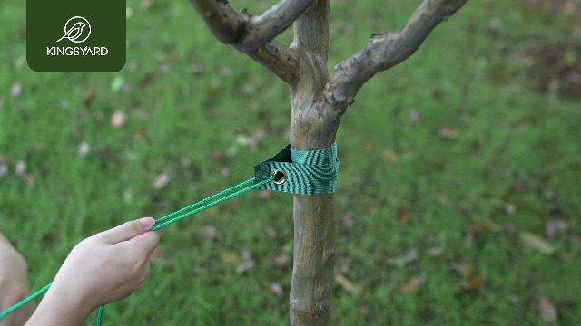 Spiral Tree Support Stakes Kit Leaning Trees Wind Protection Kingsyard ...