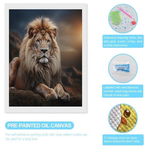 Pintura de diamantes para principiantes: Kit completo 5D fácil de usar 3
