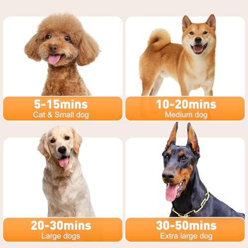 Yazeky Soffiatore Professionale Per Cani, Soffiatore Silenzioso Da 2800 W, Soffiatore Per Cani A Pelo Lungo, Asciugacapelli Per Toelettatura Animali, Velocità E Temperatura Regolabili Con 4 Ugelli - 6