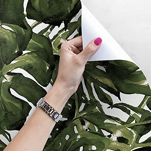Papier peint monstera leaf nature muralo latex pour deco meuble 250x104 - 4