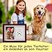 PewinGo Gedenkrahmen Hund und Katze, Pfotenabdruck Set Hund Katze Fotorahmen mit Ton Impressum Kit und Foto-Display für 6 x 4“ Foto, Perfekte Andenken Geschenk für Tierbesitzer
