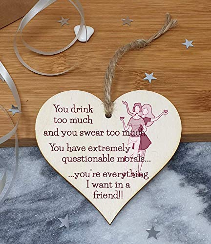 The Plum Penguin Handmade Wooden Hanging Heart Plaque Gift You're everything I want in a friend novelty alcohol funny window wall hanger absent friends friendship keepsake - Image 2