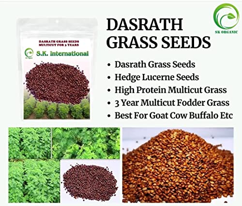 Image of SK Organic Compatible with Hedge Lucerne (Velimasal Grass /Dasrath Grass) Seeds 500 GMS