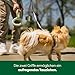 Earth Rated Ziehspielzeug, interaktives Spielzeug für ausgewachsene Hunde und Welpen, ergonomischer Griff, Naturgummi, klein, grün