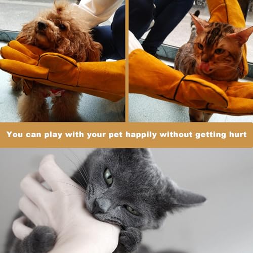 AONAYO 1 Paar Bissfeste Handschuhe,Dornenfeste Handschuhe,Bissfeste Handschuhe Katze,Anti Kratzer Trainingshandschuhe,Anti-Biss Arbeitshandschuhe,Gartenhandschuhe,Schützen Sie Ihre Hände Vor Bissen