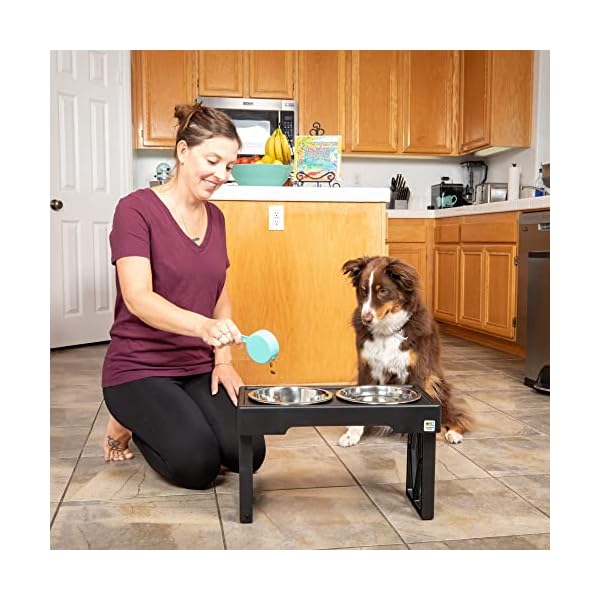 Raised Dog Dish with Double Bowls
