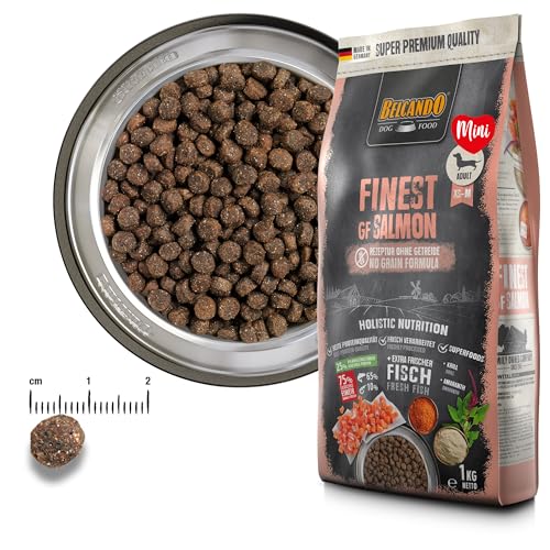 Belcando Finest GF Salmon [1 kg] getreidefreies Hundefutter | Trockenfutter für kleine & mittlere Hunde | Alleinfuttermittel für Hunde ab 1 Jahr