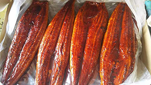 無頭　うなぎ蒲焼　10kg　(　50尾　)　業務用　鰻　冷凍