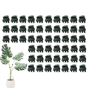 インプラント器具のすすめ　DVD インプラント器具のすすめ DVD Amazon.co.jp: インプラント