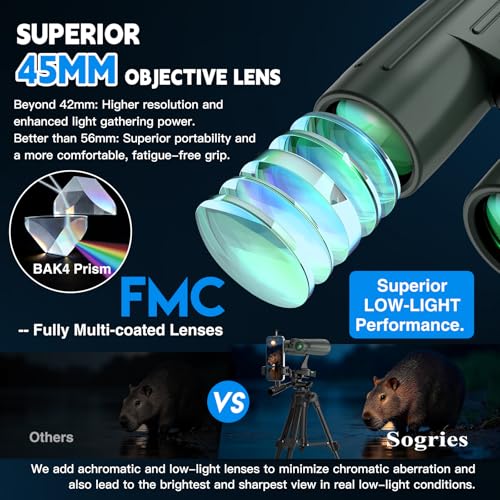 Binary Binoculars for Bird Watching 10x42