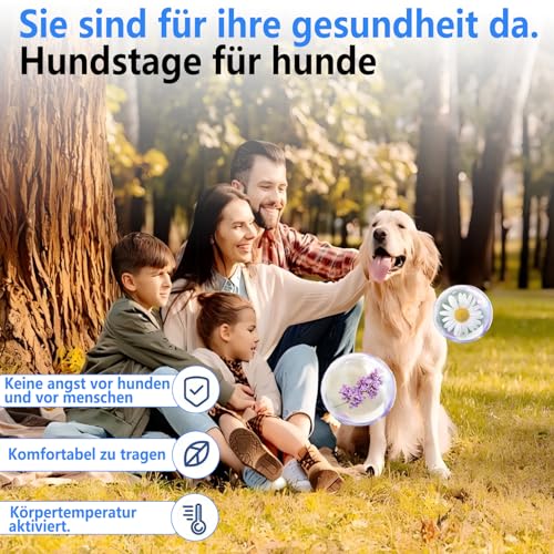 Beruhigender Kragen für Hunde,Hunde Pheromone Beruhigender Diffusor,Haustier Stopp Pissen Entlastung Angst Stress Trennung,Dauert 60 Tage,25 Zoll verstellbare Passform Alle Kleine (Grau)