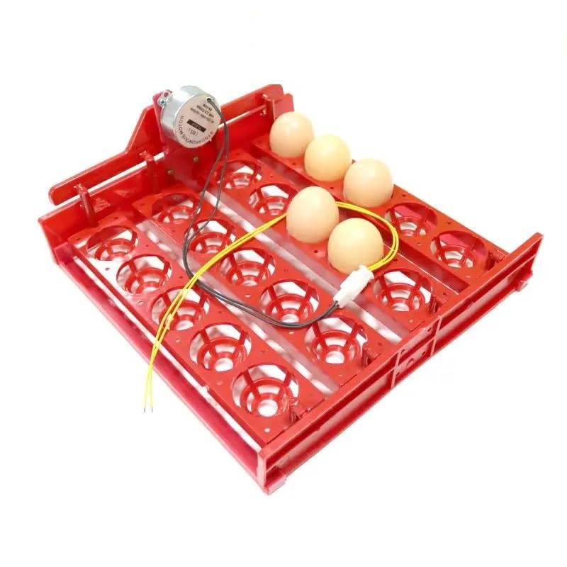 20 Egg Incubator Turn Eggs Tray Eggtester Automatically Turn The Eggs Experimental Teaching Equipment Voltage 220V / 110V / 12V(220V Motor)