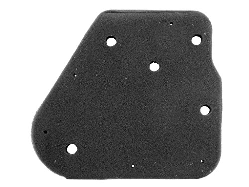 Filtre à air Cpi Aragon 11441 Cover