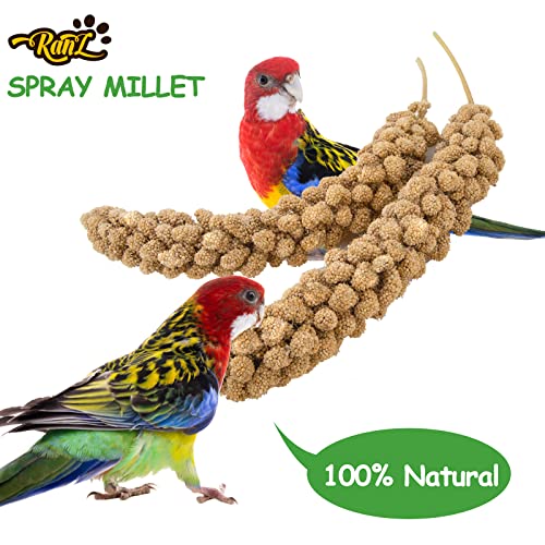 Ranz 5Lbs Millet Spray For Birds, Gmo-Free, Sun Dried Spray Millet, Original Bird Treats & Supplement For Parrots, Cockatiels, Lovebirds, Painted Buntings And Finches, Parakeets Food Millet #TOP4