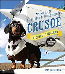Crusoe, the Celebrity Dachshund: Adventures of the Wiener Dog Extraordinaire book cover