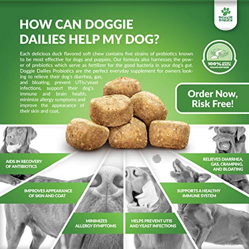 Doggie Dailies Probiotics for Dogs, 225 Soft Chews, Advanced Dog Probiotics with Prebiotics, Promotes Digestive Health, Supports Immune System and Overall Health (Duck) - Thumbnail 4