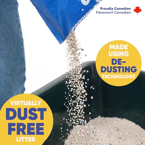 Image of Canada Cat Litter - Natural Bentonite Cat Litter with Activated Carbon-Odour Control and Highly Absorbent Litter for Cat (Pack of 1, Unscented)