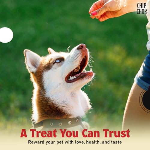 Image of Chip Chops Lamb Cubes Dog Treats, High Protein Dog Treats & Healthy Dog Snacks, Easily Digestible Training Rewards for All Breeds, Soft Chewy Lamb Bites, 70g Each (Pack of 2)