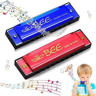 2 Pièces Harmonica Enfant, Harmonica Blues Diatonique, Harmonica en do majeur, Harmonica diatonique en Do 10 Trous, pour… - Les Beatles, Paul McCartney, John Lennon, RIngo Starr, George Harrison