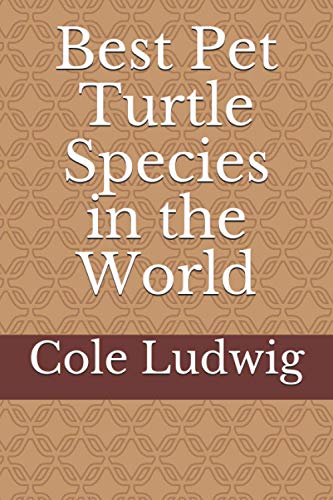 Best Pet Turtle Species in the World