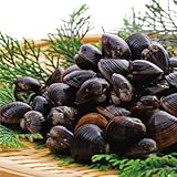 寿物産 青森県小川原湖産 大粒 大和しじみ 2500g (500g × 5袋) 冷凍 砂抜き 農林水産大臣登録第52号 地理的表示保護制度 GIマーク取得 しじみ名産地