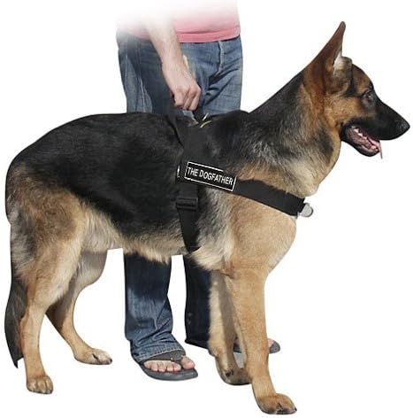 Dean & Tyler DT Universal No Pull Dog Harness - Adjustable, Strong Neoprene Nylon - for Small - Medium Breeds - Removable Patches - Small - Girth Size 24"- 27" - Includes The Dogfather Patches