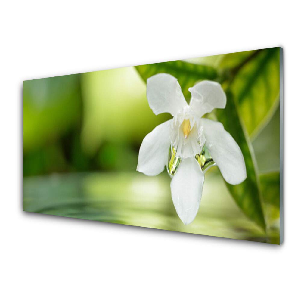 Tableau mural moderne Tulup en verre trempé 100x50 cm au design floral premium