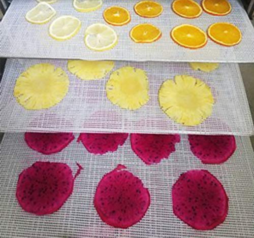 6 PCS Square Silicone Dehydrator Sheets Non-stick Fruit Dehydrator Mats, Reusable Steamer Mat Mesh Sheet for Fruit Dryer