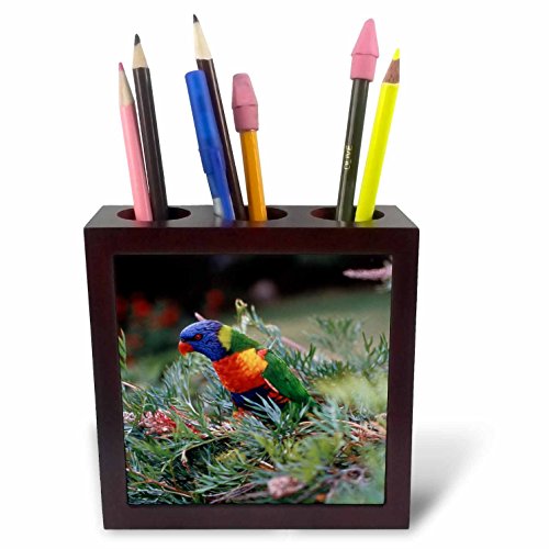 Tile porte-stylo céramique motif Loriquet arc-en-ciel d'Australie 3drose